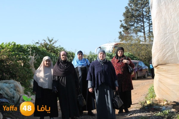 re7la tolkarem (49).JPG